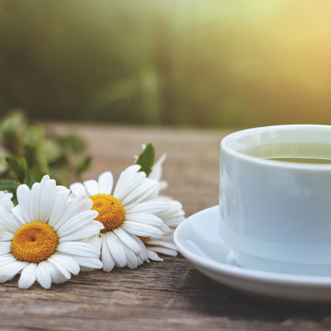 Is Chamomile Tea Good For You?